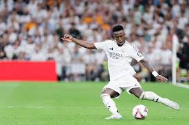 这片神秘的 这片神秘的